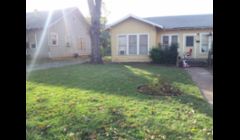 One of the yards i mowed half was dirt i brought it back to life.