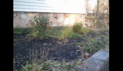 Another before picture.