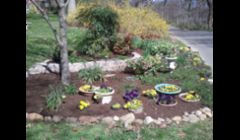 Mrs. M's yard after