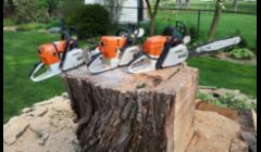 Huge stump. Cut up using the Stihl 660/460/362