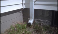 Extending downspouts away from the foundation will help prevent wet basements.