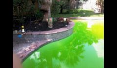 This first picture will give some idea of the kind of work we do. This pool had one leak and a fungus. It had to be acid & chlorine washed and now it looks almost new again.