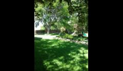 we make yards look like this.. 