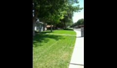 we make yards look like this.. 3