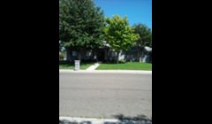 we make yards look like this.. 2