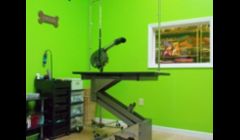 Our styling area - Your pet will spend the most time being styled by Karen in her styling area. Equipped with the highest quality grooming tools, Karen can turn your pet into the star of the neighborhood. Using a hydraulic table, even the largest pets can 