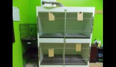 Our Kennel Area - In our salon, safety is our utmost concern. To ensure your pet the safest and most comfortable stay in our care, we keep all pets kenneled separately from other pets. While sibling pets are welcome to stay together, they will not come int