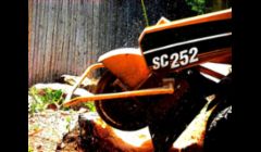 Stump Removal Services