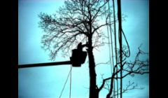 Bucket Truck Services