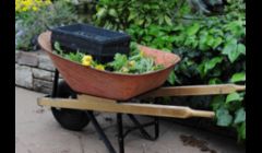 Annual Plantings