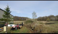 The area after I took the trees down