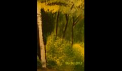 part of mural