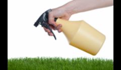 Pest Control Service Miami FL