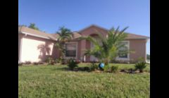 Tropical Landscaping 2012