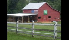 Our Stable