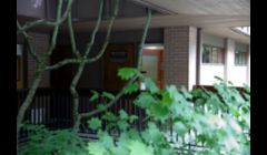 Bellevue dentist