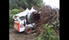 Bobcat Brush mowing brush &  tree removal service of Cape Cod.