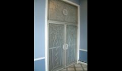 Ornamental Aluminum Door
