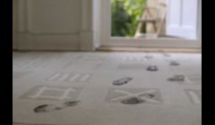 Carpet Dry-Tech