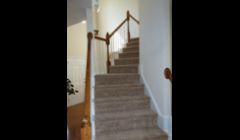 Interior Painting and carpet