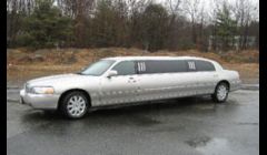 Silver Gray Stretch Limo.