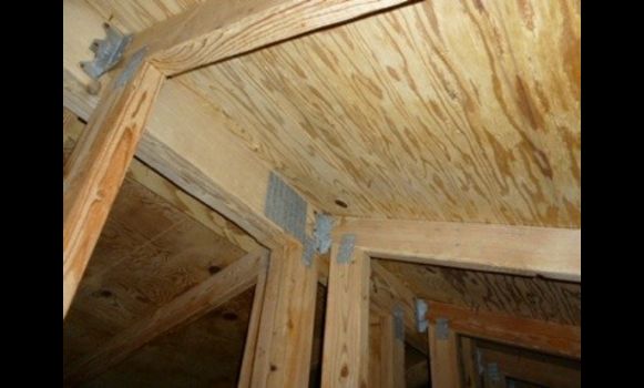 mold removal