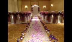 Beautiful wedding in Tampa Fl