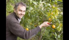 Farm insurance