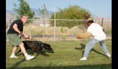 Dog Trainer Las Vegas NV