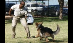 K-9 Training Las Vegas NV