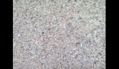 Sea Shell Exposed Aggregate
