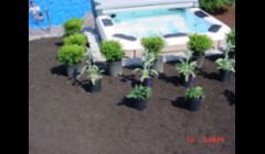 Crystal Lake Perennial Installation