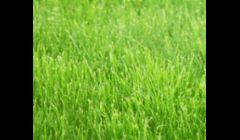 for all your landscape and property maintenace needs