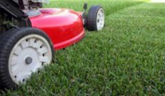 for all your landscape and property maintenance needs