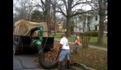 Community leaf removal\n