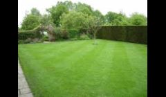 Professional commercial and residential mowing service