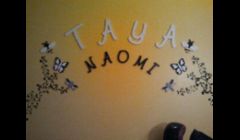 This is a focal wall of a nursery design. The theme of this room is bumble bees, dragonflies and butterflies with stenciled design throughout. This theme was carried out with a very trendy yellow and grey color scheme. 