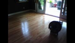sand and finish