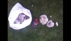 Here's a 13 gallon trash bag full of paper nest material. That glove is size XL.