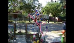 Pink Bottle Tree