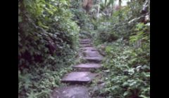 Wouldn't it be lovely, to have some steps going down the side of your home, to make it simple to access your backyard!