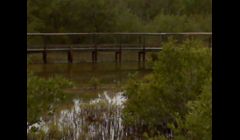 We could build your own special bridge in your new garden!