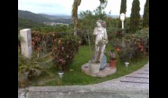 We can find special statues that can make your garden complete!