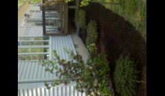 Neavitt, Md