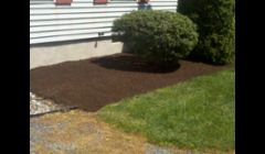Job in Neavitt, Md