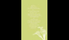 Custom Invitations or greeting cards offered along with many other ideal gift and wedding items. 