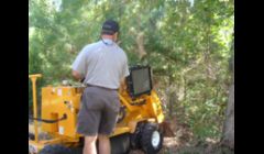 Stump Removal Chapel Hill NC