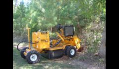 Tree Cutting Chapel Hill NC