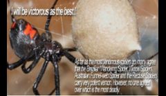 Pest Control Las Vegas