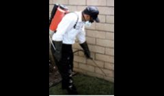 Full Interior Services in Las Vegas